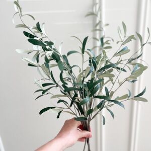 Studio McGee olive stems